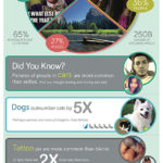 infographic-on-facebook