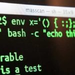 Bash-Bug