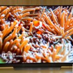 LG OLED65E7T-4