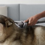 Pet Groom Tool_In use 1