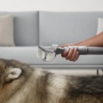 Pet Groom Tool_In use 3