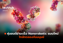 Nanorobotic