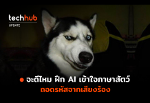 AI เข้าใจภาษาสัตว์