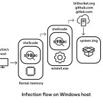 infection flow