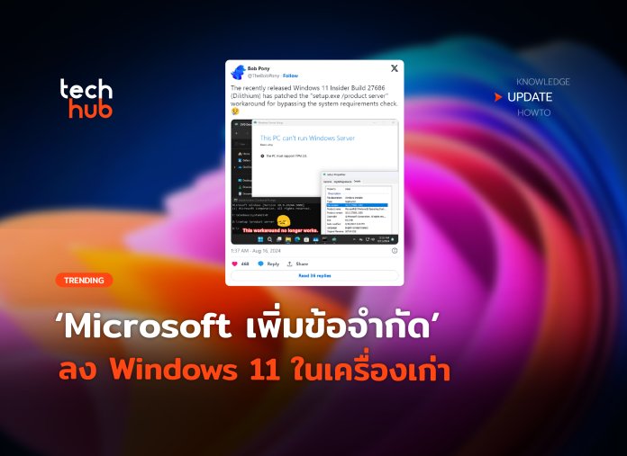 Windows 11